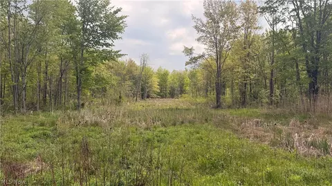 Munson Hill Road, Ashtabula, OH 44004