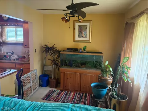 1835 Robindale St, Wickliffe, OH 44092 photo 5