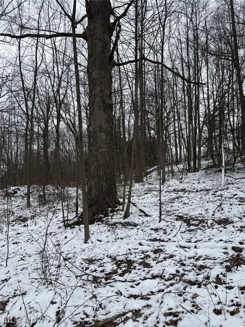 Oh-93, Dundee, OH 44624 photo 7