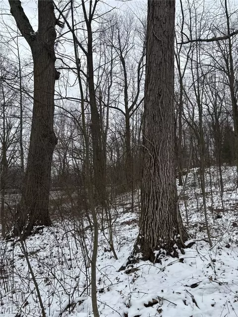 Oh-93, Dundee, OH 44624 photo 6