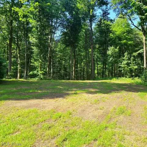 S/l 25 And S/l 26 Old Mill Road, Madison, OH 44057