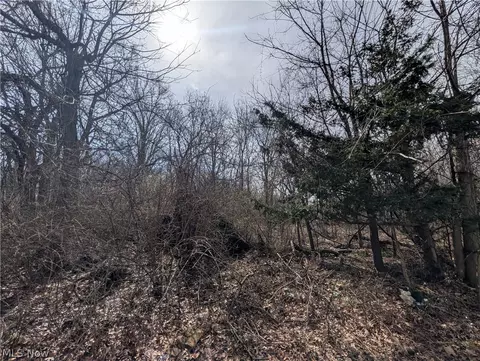 Vl North Ridge Road, Lorain, OH 44053