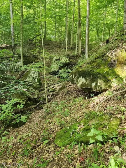 Other - 3593 Moore Fork Rd, Duck, WV 25063 photo 12 of 26