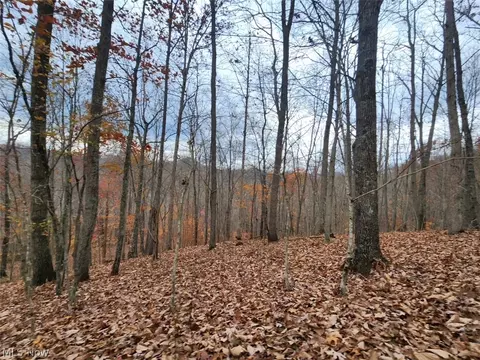 Other - 3593 Moore Fork Rd, Duck, WV 25063 photo 10 of 26