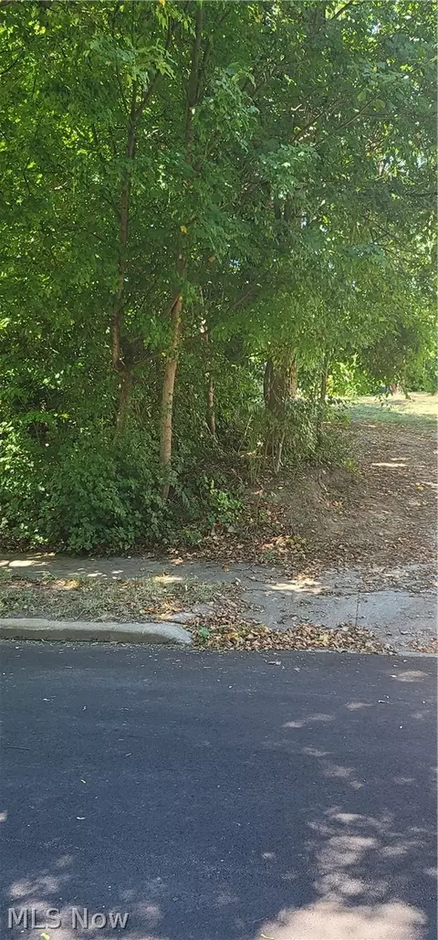 Kline Avenue, Akron, OH 44305