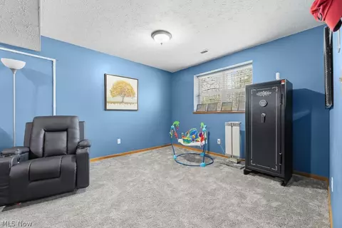 Other - 1719 Wilson Rd, Akron, OH 44312 photo 6 of 9
