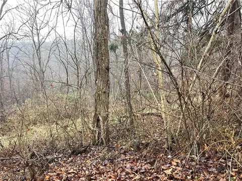 16 Woodcliff Acres, Washington, WV 26181