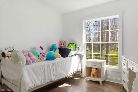 Bedroom - 898 Longshadow Dr, Roaming Shores, OH 44084 photo 3 of 3