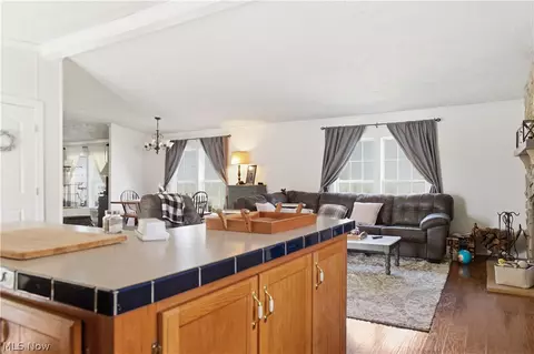 Other - 898 Longshadow Dr, Roaming Shores, OH 44084 photo 6 of 10