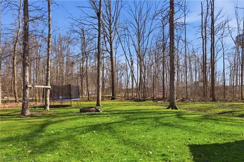 Exterior - 898 Longshadow Dr, Roaming Shores, OH 44084 photo 4 of 8
