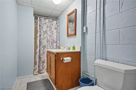 Bath - 350 Ingram Dr, Boardman, OH 44512 photo 6 of 6