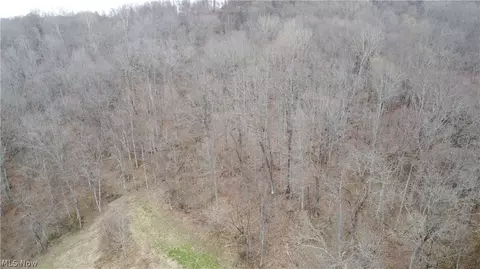 39460 Opossum Creek Rd, Sardis, OH 43946