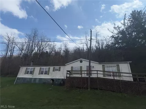 1049 Buckeye St, Bridgeport, OH 43912