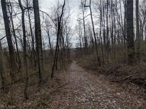 39000 Lees Run Rd, Cadiz, OH 43907 photo 45
