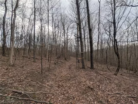 39000 Lees Run Rd, Cadiz, OH 43907 photo 37