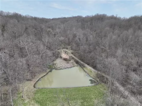 39000 Lees Run Rd, Cadiz, OH 43907 photo 10
