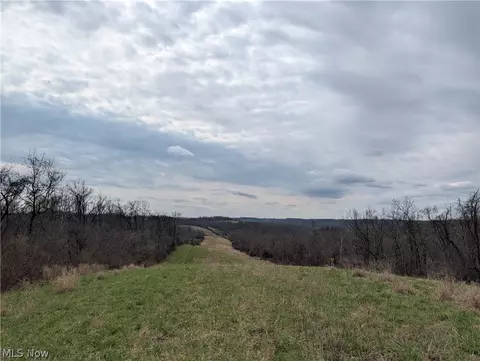 39000 Lees Run Rd, Cadiz, OH 43907 photo 31