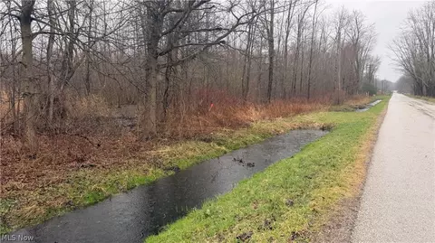 Ninevah Road, Geneva, OH 44041
