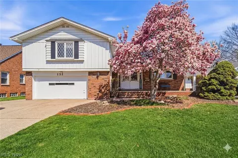 131 E 194th St, Euclid, OH 44119