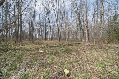Other - 10396 Dewhurst Rd, Elyria, OH 44035 photo 4 of 18