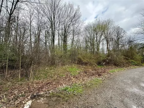 0 Mary Jane Dr, Girard, OH 44420