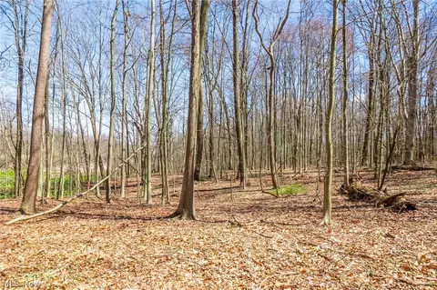 9050 Freeman Rd #3, Lisbon, OH 44432 photo 13