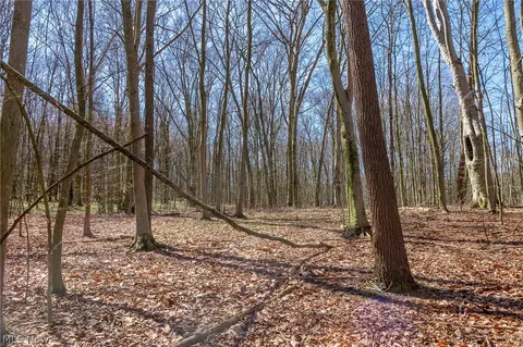 9050 Freeman Rd #3, Lisbon, OH 44432 photo 12