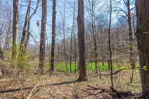 9050 Freeman Rd #3, Lisbon, OH 44432 photo 9
