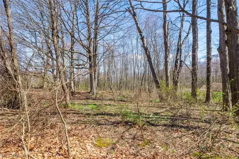 9050 Freeman Rd #3, Lisbon, OH 44432 photo 8