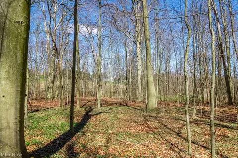 9050 Freeman Rd #3, Lisbon, OH 44432 photo 20