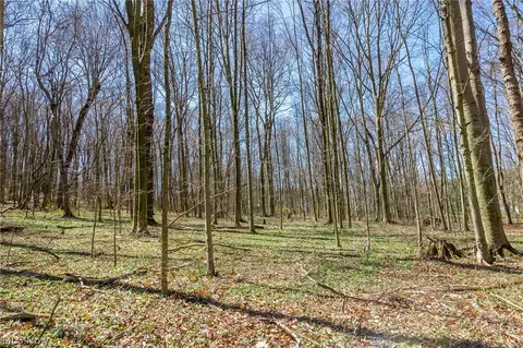 9050 Freeman Rd #3, Lisbon, OH 44432 photo 19