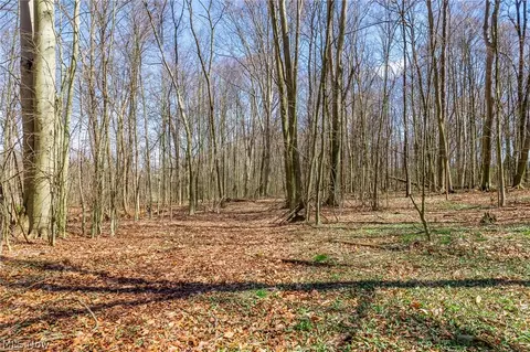 9050 Freeman Rd #3, Lisbon, OH 44432 photo 14