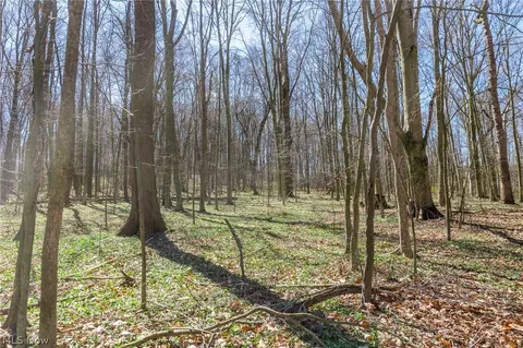 9050 Freeman Rd #3, Lisbon, OH 44432 photo 16