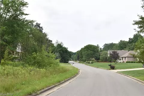 Saddlebrook Lot 156 Drive, Boardman, OH 44512 photo 3