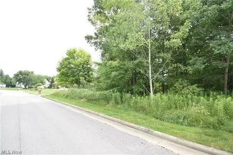 Saddlebrook Lot 156 Drive, Boardman, OH 44512 photo 4