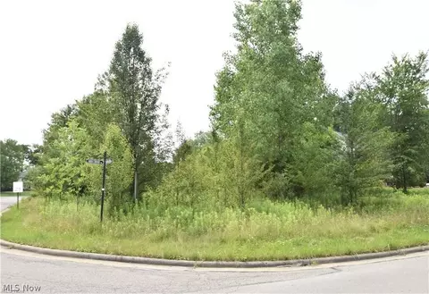 Saddlebrook Lot 156 Drive, Boardman, OH 44512 photo 2