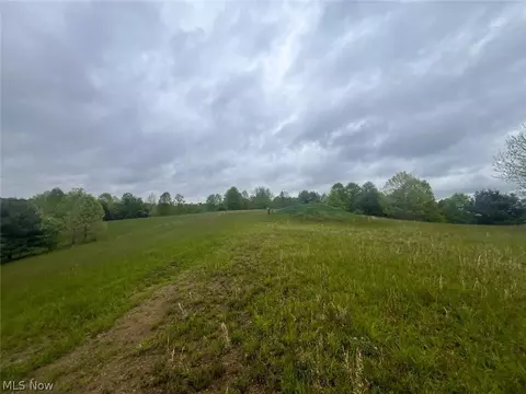 87085 Crall Rd, Scio, OH 43988