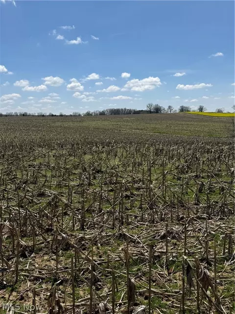 V/l Bieri Road, Marshallville, OH 44645