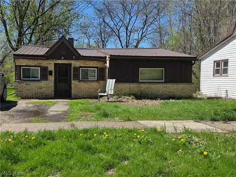 191 Mathews St, Painesville, OH 44077