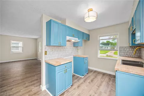 624 Eastern Heights Blvd, Elyria, OH 44035 photo 12