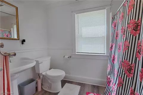 Bath - 273 Maplewood Ave, Struthers, OH 44471 photo 3 of 4