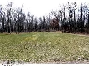 Prairie College Street, Canton, OH 44706