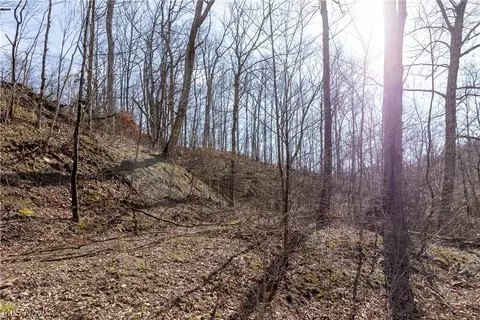 505 Back Run Rd, Philo, OH 43771 photo 13