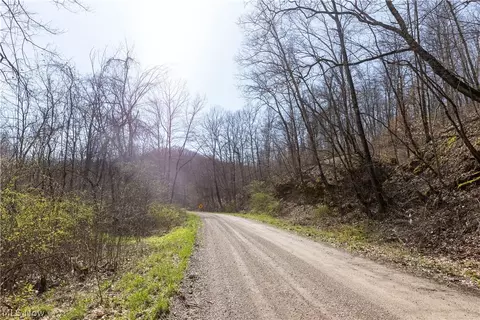 505 Back Run Rd, Philo, OH 43771 photo 18