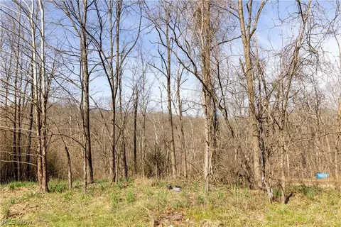 505 Back Run Rd, Philo, OH 43771 photo 5