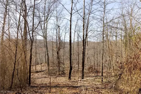 505 Back Run Rd, Philo, OH 43771 photo 6