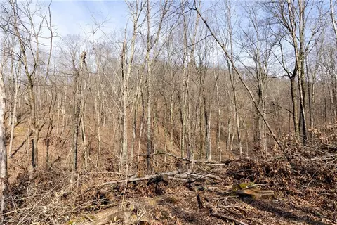 505 Back Run Rd, Philo, OH 43771 photo 9