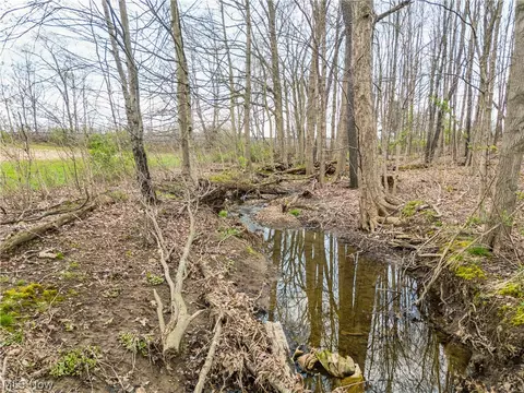 Steiner Road, Creston, OH 44217 photo 15