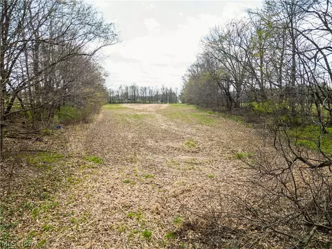 Steiner Road, Creston, OH 44217 photo 19