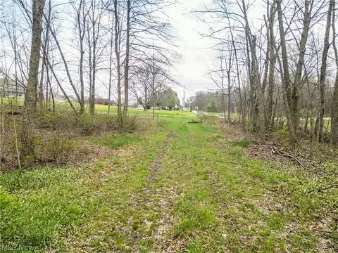 Steiner Road, Creston, OH 44217 photo 11